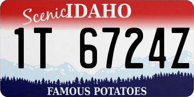 ID license plate 1T6724Z