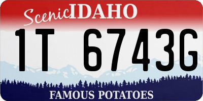 ID license plate 1T6743G