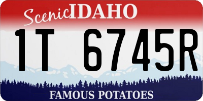 ID license plate 1T6745R