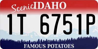 ID license plate 1T6751P