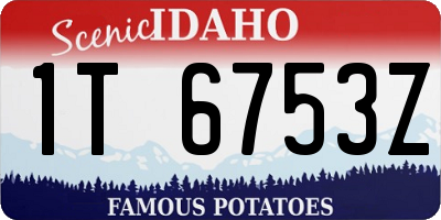 ID license plate 1T6753Z