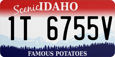 ID license plate 1T6755V