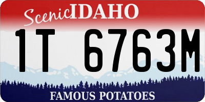 ID license plate 1T6763M