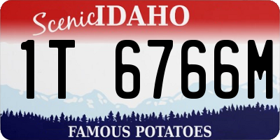 ID license plate 1T6766M