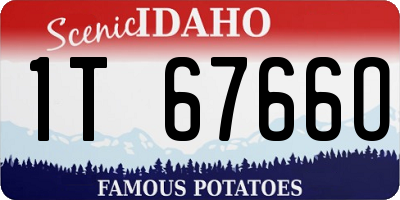 ID license plate 1T6766O