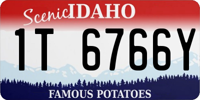 ID license plate 1T6766Y