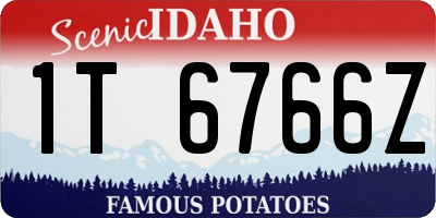 ID license plate 1T6766Z