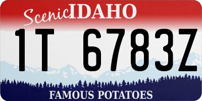 ID license plate 1T6783Z