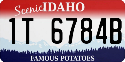 ID license plate 1T6784B
