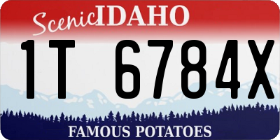 ID license plate 1T6784X