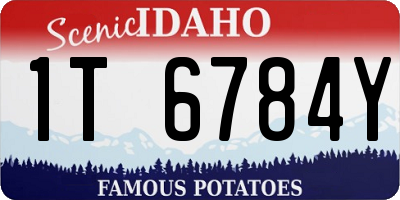 ID license plate 1T6784Y
