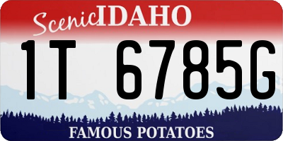ID license plate 1T6785G