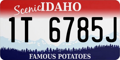 ID license plate 1T6785J