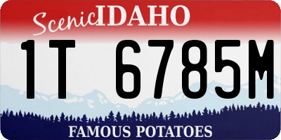 ID license plate 1T6785M
