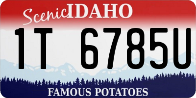 ID license plate 1T6785U