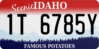 ID license plate 1T6785Y