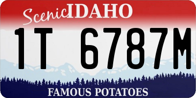 ID license plate 1T6787M