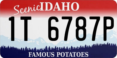 ID license plate 1T6787P