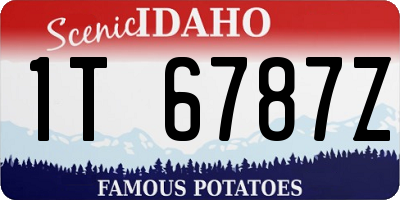 ID license plate 1T6787Z