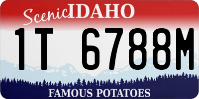 ID license plate 1T6788M