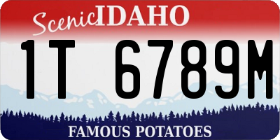 ID license plate 1T6789M