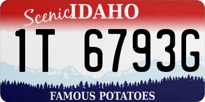 ID license plate 1T6793G