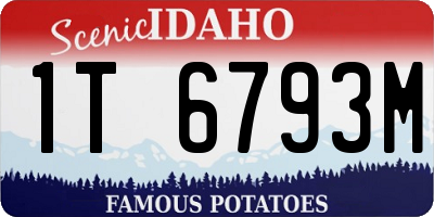 ID license plate 1T6793M