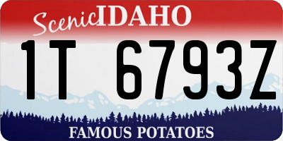 ID license plate 1T6793Z