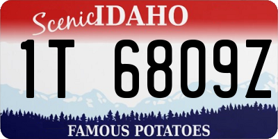 ID license plate 1T6809Z
