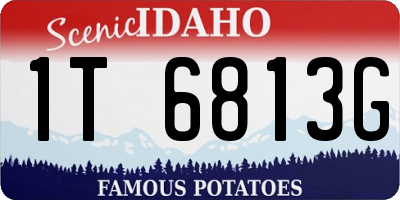ID license plate 1T6813G
