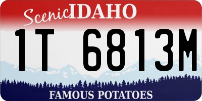 ID license plate 1T6813M