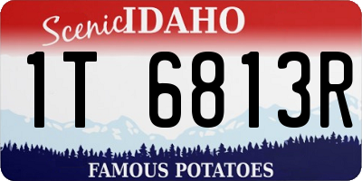 ID license plate 1T6813R