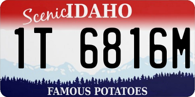 ID license plate 1T6816M