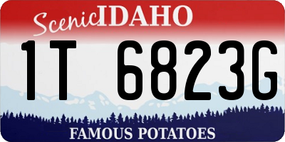 ID license plate 1T6823G