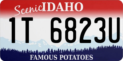 ID license plate 1T6823U