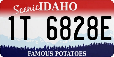 ID license plate 1T6828E