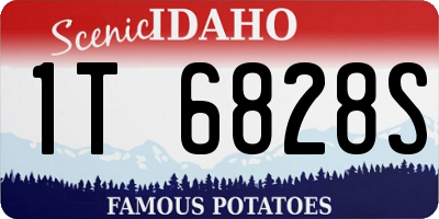 ID license plate 1T6828S