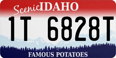 ID license plate 1T6828T
