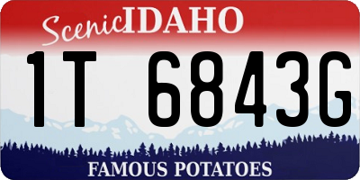 ID license plate 1T6843G