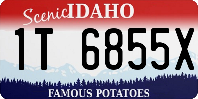 ID license plate 1T6855X