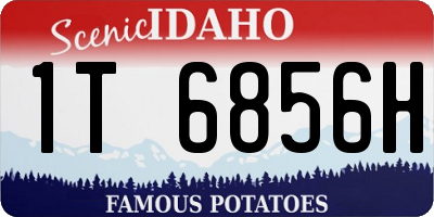 ID license plate 1T6856H