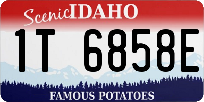 ID license plate 1T6858E