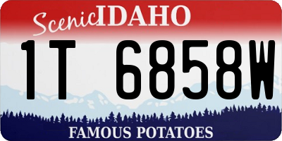 ID license plate 1T6858W
