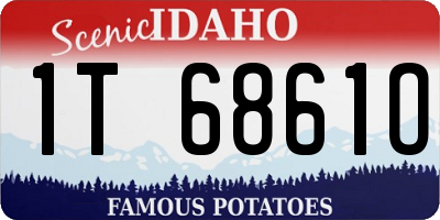 ID license plate 1T6861O