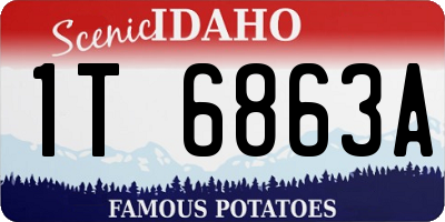 ID license plate 1T6863A