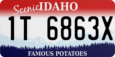 ID license plate 1T6863X