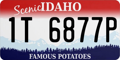 ID license plate 1T6877P