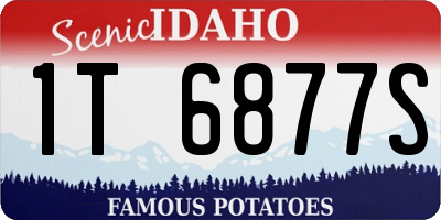 ID license plate 1T6877S