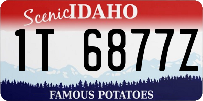 ID license plate 1T6877Z