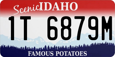 ID license plate 1T6879M